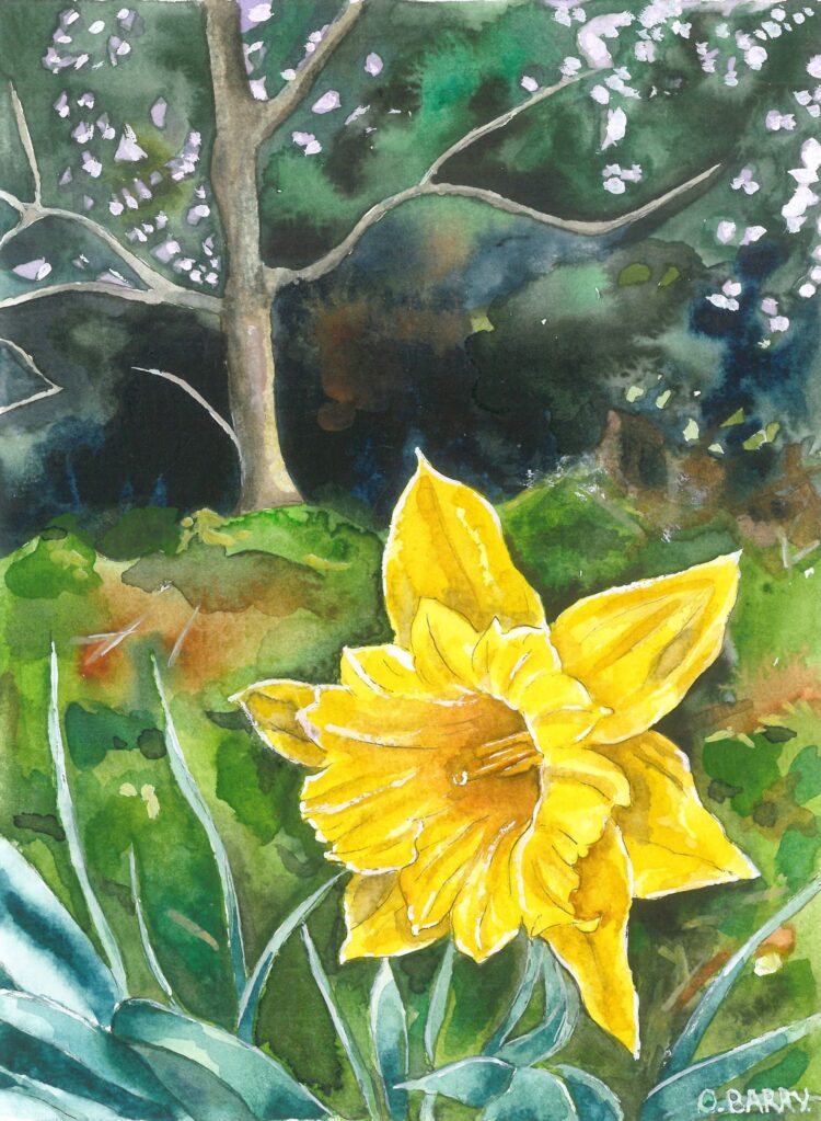Landscape Paintings